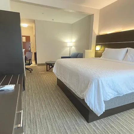 Holiday Inn Express Hotel & Suites Decatur, Tx By Ihg-3