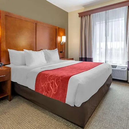 Comfort Suites Newark - Harrison-3