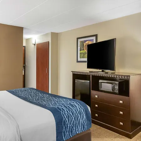 Comfort Inn Grand Rapids Airport-3