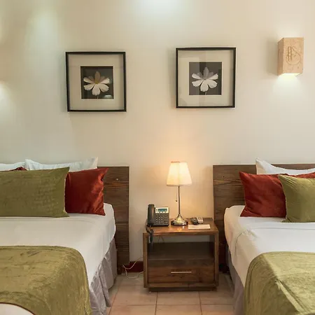 Hotel Silvestre-3