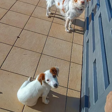 Civico 101-2