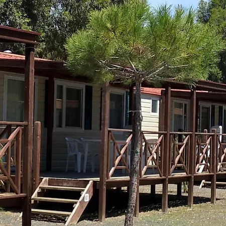 New Camping Le Tamerici-3