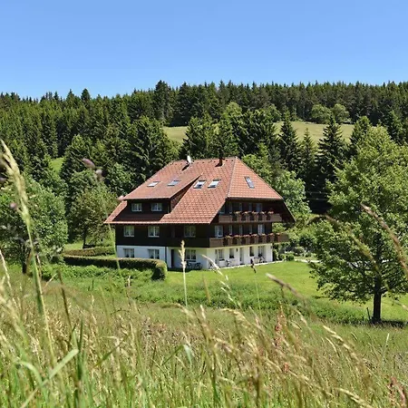 Hotel Hirschen-3