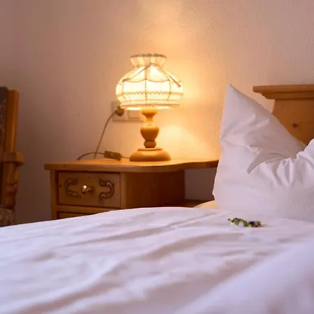 Hotel der Löwen in Staufen-2