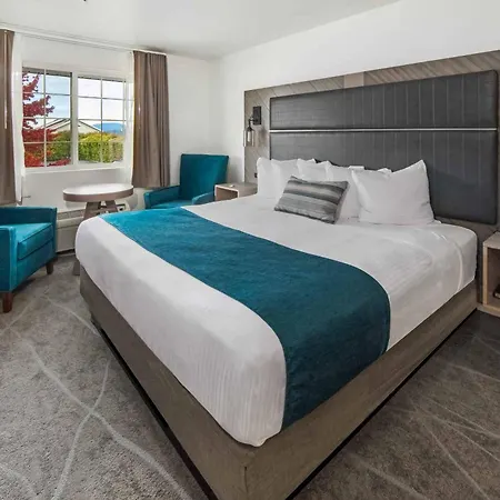 The Marina Inn-2