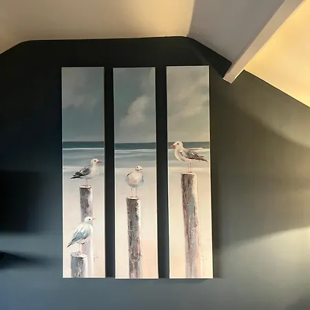 B&B De Koog Texel-2