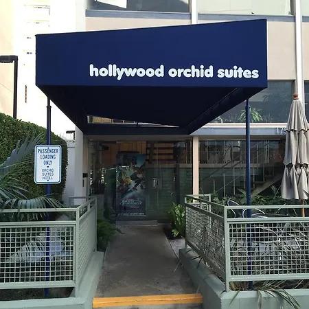 Hollywood Orchid Suites-3