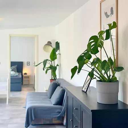 Apartmenthaus am Dom - Küche, Wifi, TV-2