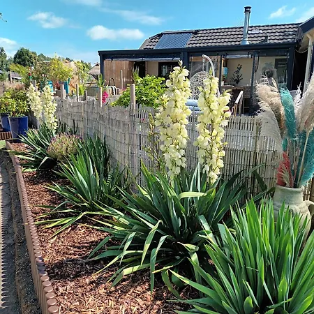 Naturistenlogement Op Flevonatuur-2