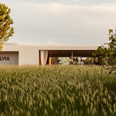Ca Na Xica - Hotel & Spa (Adults Only)-3
