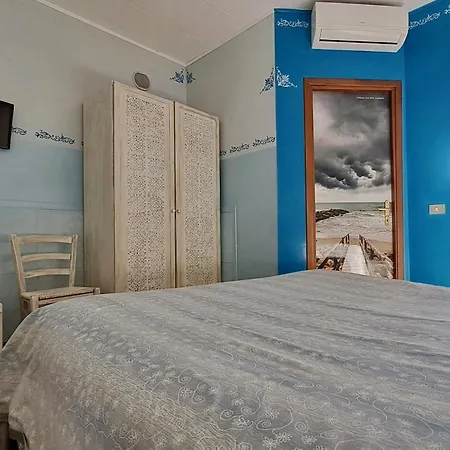 B&B Millennium-2