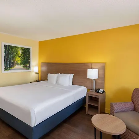 Days Inn By Wyndham Florence/I-95 North-3