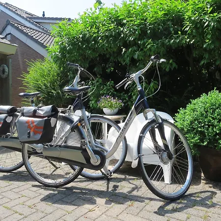 B&B Vloedlijn Texel-2