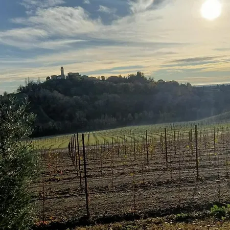 Il giuggiolo-2