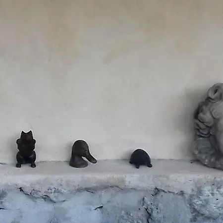 Le Chat Sur Le Toit-2
