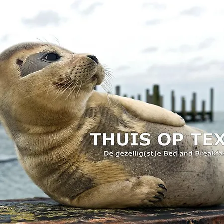 Thuis op Texel-2
