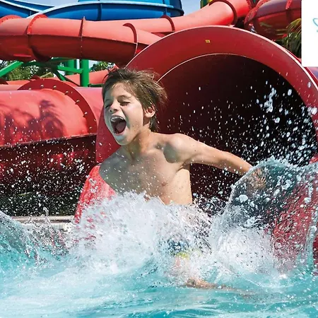 Rove At The Park-3