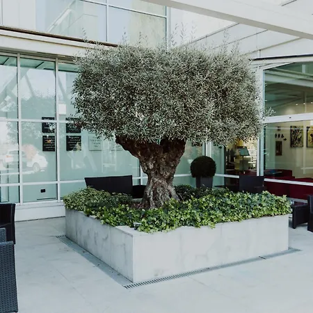 Hotel Carpi-2