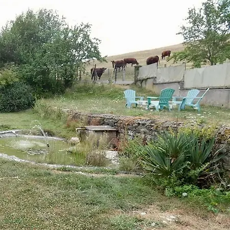 Le Champ Des Sources-3