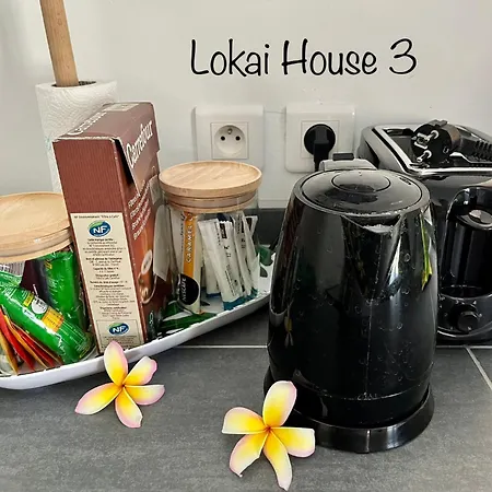 Lokai House-2