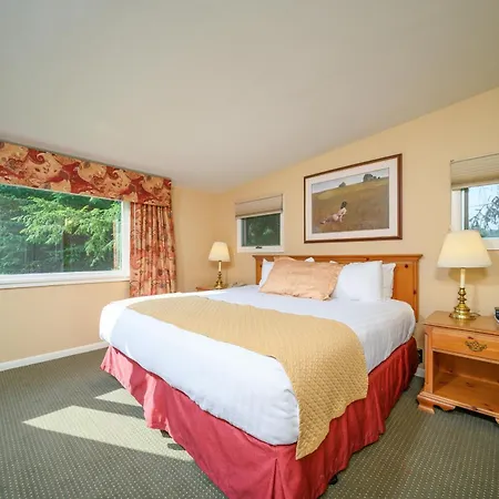 Stoweflake Mountain Resort & Spa-2