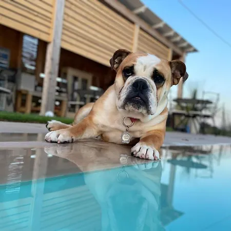 Le stanze di chiara-2