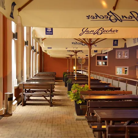 Spa Hotel Millenium Karlovy Vary-3