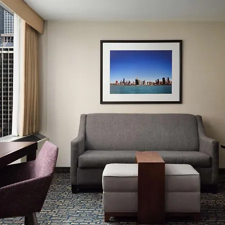Homewood Suites By Hilton Chicago Downtown - Magnificent Mile-3