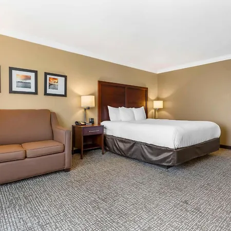 Comfort Inn & Suites Redwood Country-3