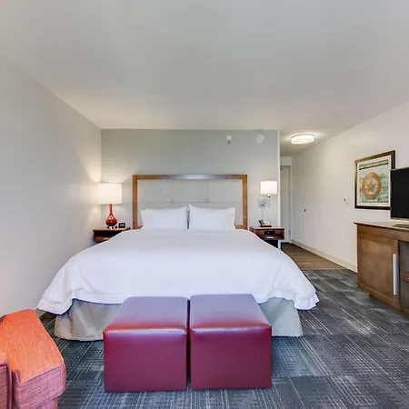 Hampton Inn & Suites North Houston Spring-2