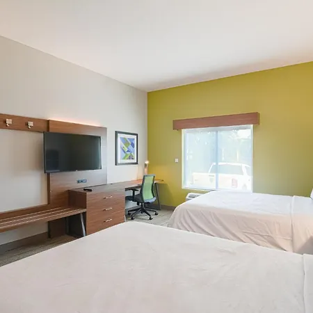 Holiday Inn Express Hotel&Suites Tampa-USF-Busch Gardens, an IHG Hotel-2
