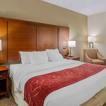 Comfort Suites At Virginia Center Commons-3