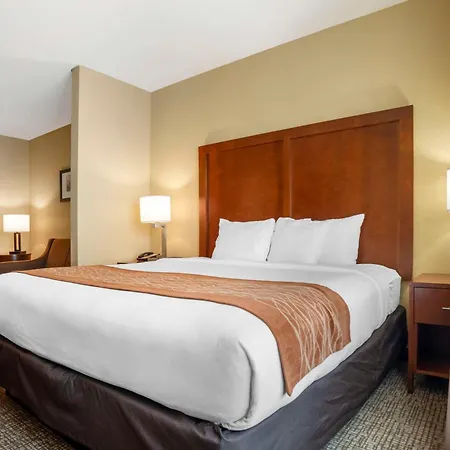 Comfort Inn & Suites Daphne Spanish Fort - Mobile East-2