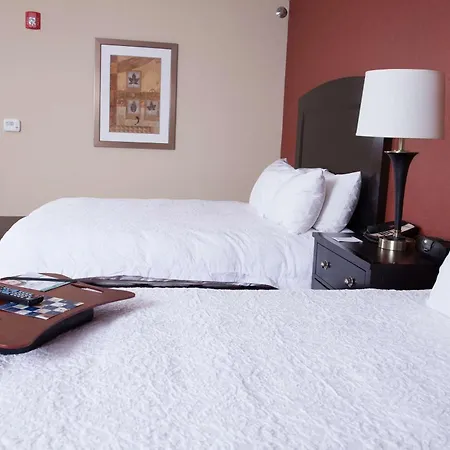 Hampton Inn & Suites Dickinson Nd-3