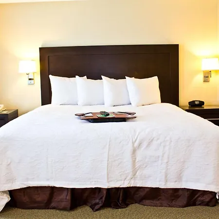 Hampton Inn & Suites Boston Crosstown Center-3