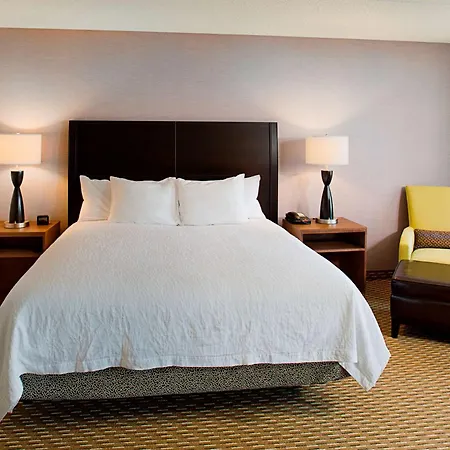 Hilton Garden Inn Hartford North-Bradley International Airport-2