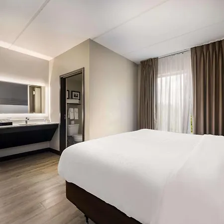 Comfort Suites Northlake-2