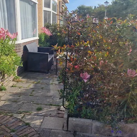 Guesthouse Zandvoort-3
