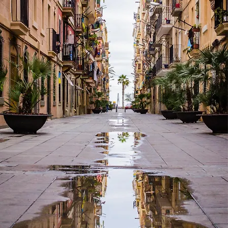 Toc Hotel Las Ramblas-3