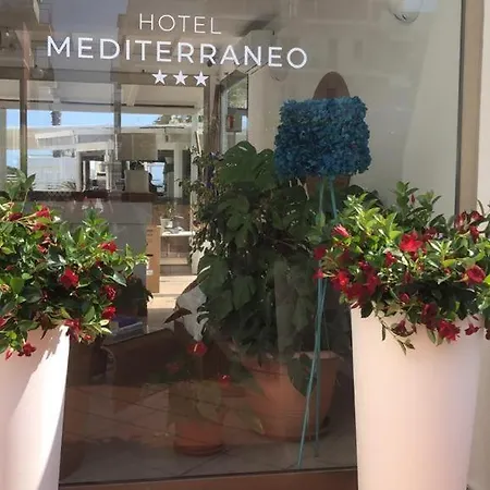 Hotel Mediterraneo-2