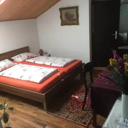 Pension Zur Freiheit-2