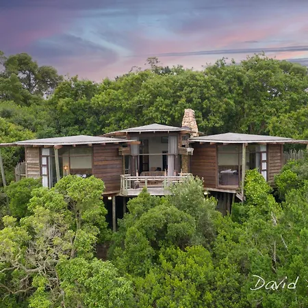 Tsala Treetop Lodge-3