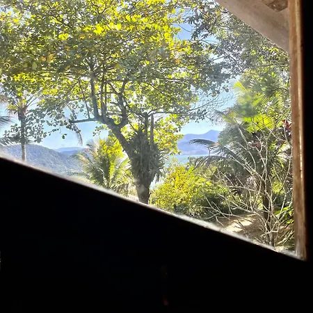 Jungle Lodge-3