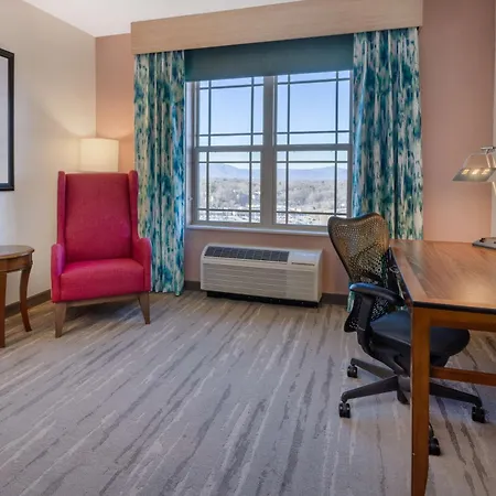 Hilton Garden Inn Roanoke-3