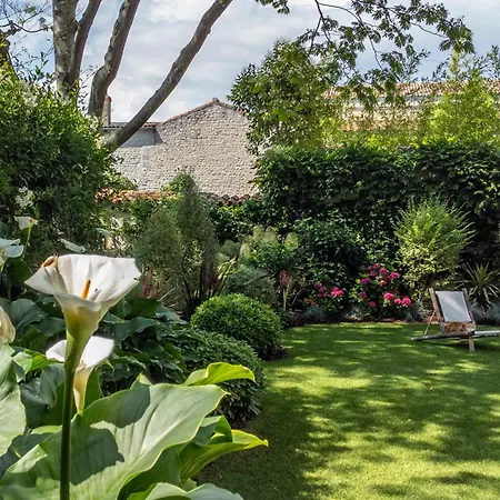 Escale Rochelaise B&B, SPA bain nordique et sauna tonneau-3
