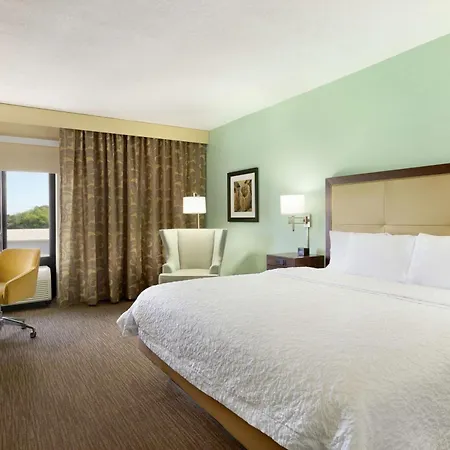 Hampton Inn & Suites Tarpon Springs-3