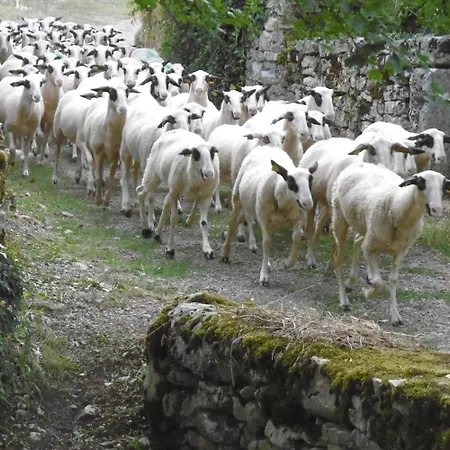 les roulottes du LOT-2
