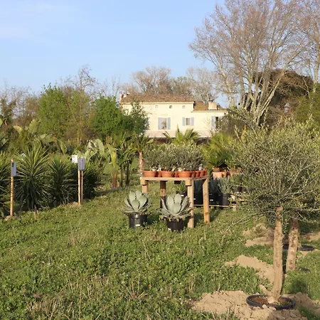 Le Mas Des Cerisiers Jacuzzi Et Sauna Inclus Pour Tous Les Logements-2