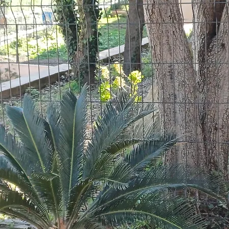 Hotel Casa Mea-2