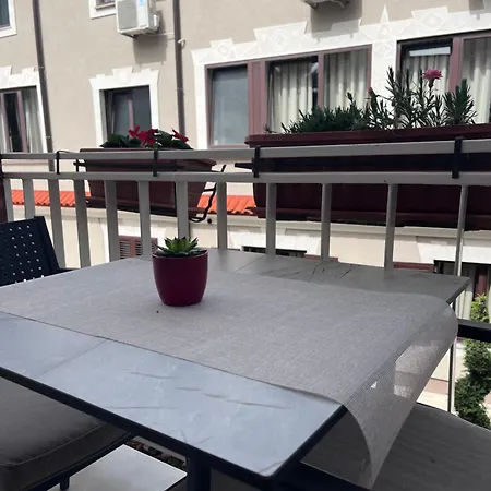 B&B Baron Gautsch-3